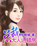 总裁大人进错房章节列表