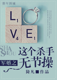 军婚之这个杀手无节操章节列表