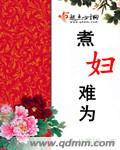 煮妇难为章节列表