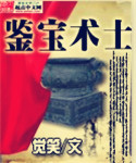 鉴宝术士章节列表