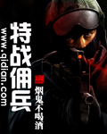 特战佣兵章节列表