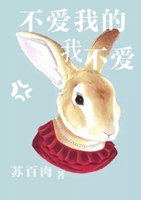 不爱我的我不爱章节列表