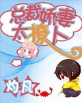 总裁娇妻太撩人章节列表