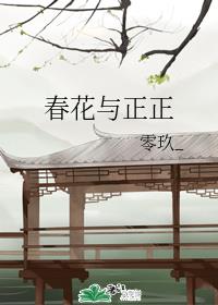 春花与正正章节列表