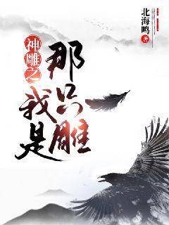 神雕之我是那只雕章节列表