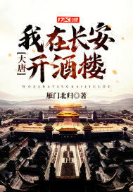大唐：我在长安开酒楼章节列表