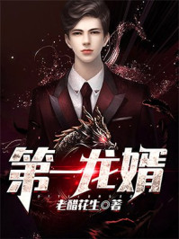 第一龙婿章节列表