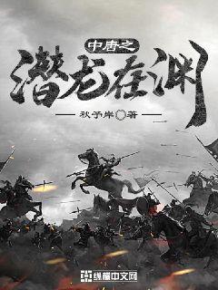 中唐之潜龙在渊章节列表