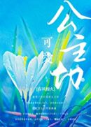 公主切章节列表