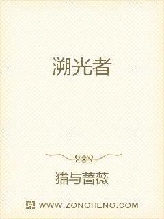 溯光者章节列表