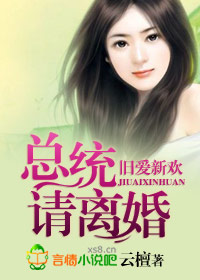 旧爱新欢，总统请离婚章节列表