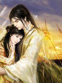 丹血汗青章节列表