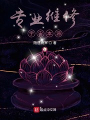 专业维修宇宙本源章节列表