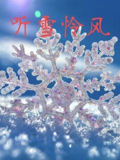 听雪怜风章节列表