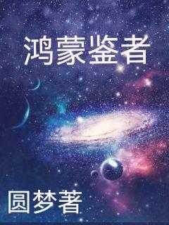 鸿蒙鉴者章节列表
