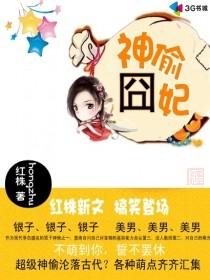 神偷囧妃章节列表