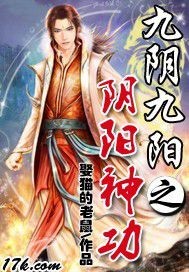 九阴九阳之阴阳神功章节列表