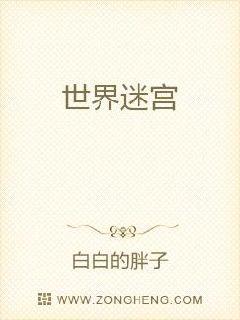 世界迷宫章节列表