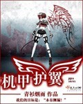 机甲护翼章节列表