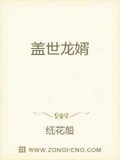 盖世龙婿章节列表