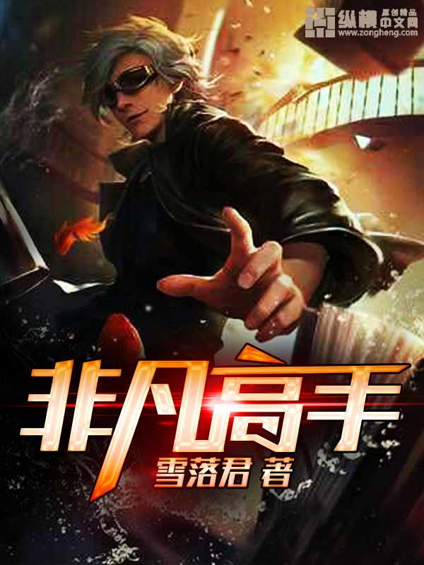 非凡高手章节列表