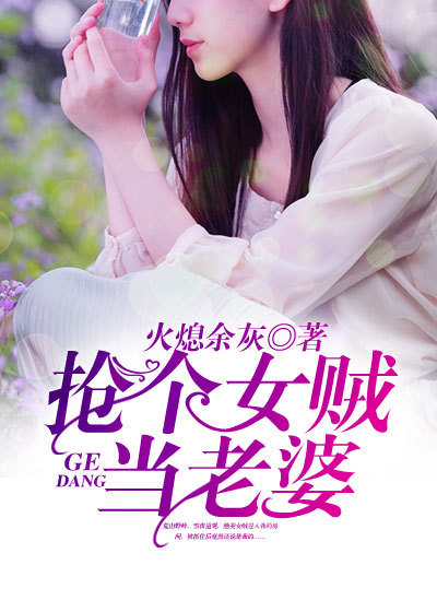 抢个女贼当老婆章节列表