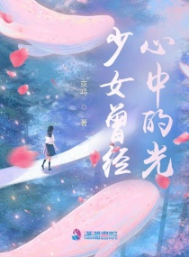 少女曾经心中的光章节列表
